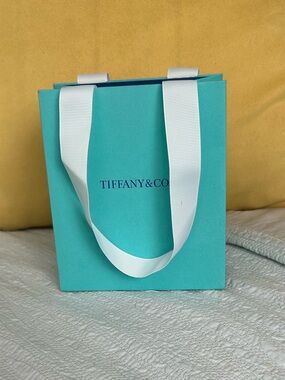 Tiffany & Co. Robin's Egg Blue Mini Gift Bag with White Ribbon